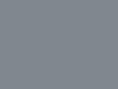 ORACAL 970RA-793G MILLENNIUM GREY 25Y X 60"  