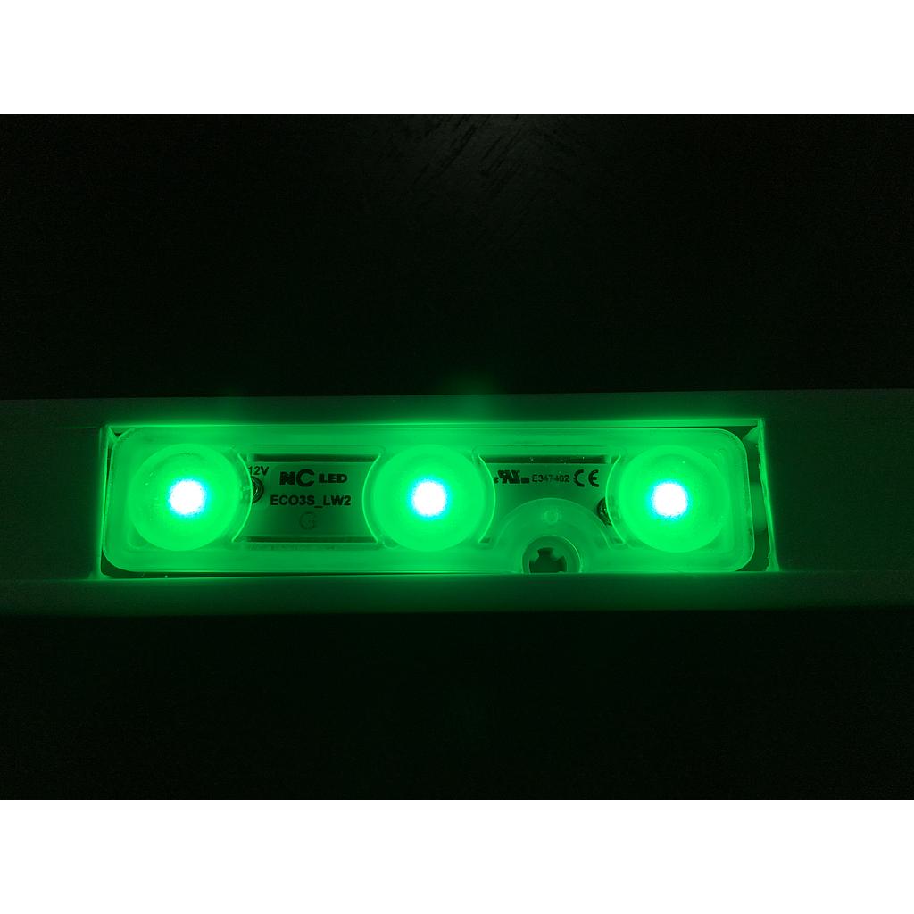 LED SS GREEN MODULE 3DOTS
