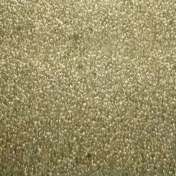 ORACAL ETCH GLASS (GOLD) 24"