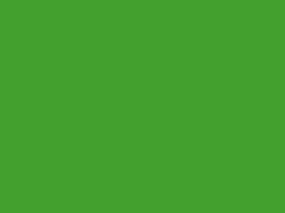 ORACAL OPACO MATTE YELLOW GREEN 48"