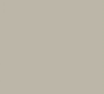 ORACAL OPACO WARM GREY 48"