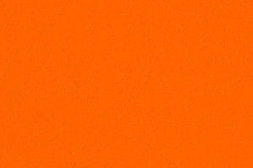 [540003524] 540003524