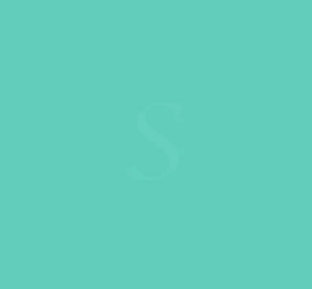 [970RA-055M] ORACAL 970RA-055M MATTE MINT 25Y X60